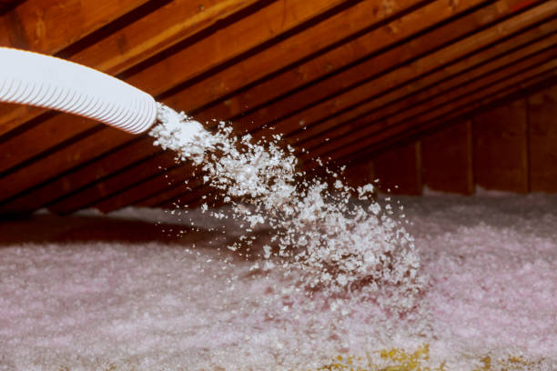 Best Energy Efficiency Insulation in Battle Ground, WA